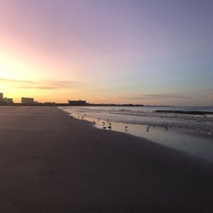 Meet your Posher, Andrea louise